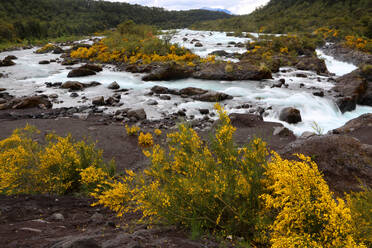 Petrohue River near Puerto Varas, Lake District, Chile, South America - RHPLF24779