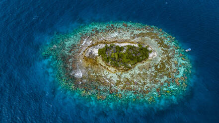 Aerial of little islet filled with birds in the lagoon of Fakarava, Tuamotu archipelago, French Polynesia, South Pacific, Pacific - RHPLF24812