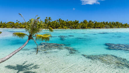 Aerial of the blue lagoon, Fakarava, Tuamotu archipelago, French Polynesia, South Pacific, Pacific - RHPLF24816