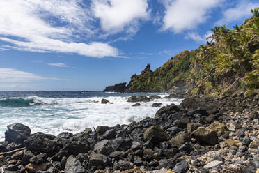The rocky coast of Pitcairn island, British Overseas Territor, South Pacific, Pacific - RHPLF24818
