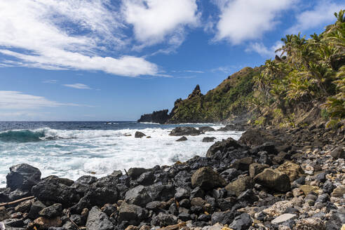 The rocky coast of Pitcairn island, British Overseas Territor, South Pacific, Pacific - RHPLF24818