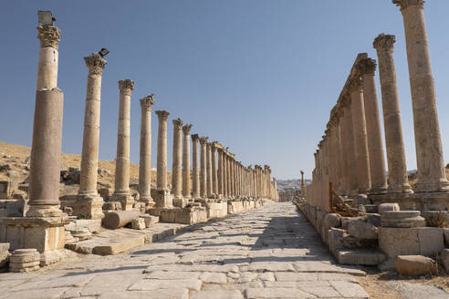 Ancient Roman road with colonnade, Jerash, Jordan, Middle East - RHPLF24851
