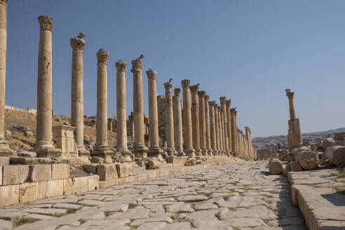 The Roman ruins with a long colonnade road, Jerash, Jordan, Middle East - RHPLF24852
