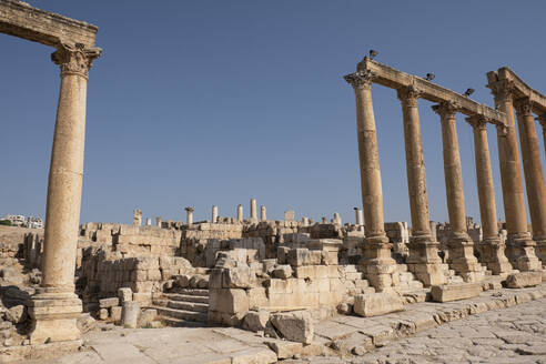 Ancient Roman ruins and columns, Jerash, Jordan, Middle East - RHPLF24866