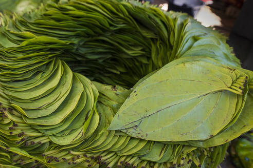 Betel leaves organized in circle that Burmese use for chewing, Inn Thein market, Lake Inle, Shan State, Myanmar (Burma), Asia - RHPLF24898