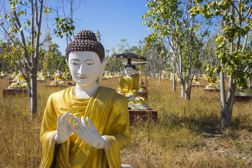 Garden of Thousand Buddhas, Monywa, Myanmar (Burma), Asia - RHPLF24903