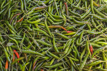 Detail of green chili peppers at market, Hsipaw, Shan State, Myanmar (Burma), Asia - RHPLF24921