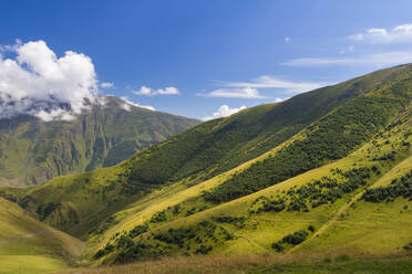 Caucasian mountains near Gergeti, Kazbegi mountains, Georgia, Central Asia, Asia - RHPLF24938