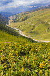 View of Adishchala River in Caucasian mountains from Chkhunderi Pass, Svaneti mountains, Georgia, Central Asia, Asia - RHPLF24949