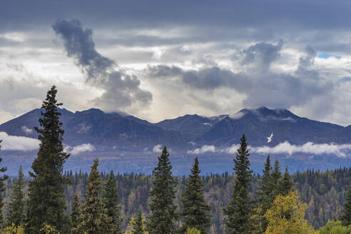 Scenic view of forest and mountains, Denali National Park and Preserve, Alaska, United States of America, North America - RHPLF24976