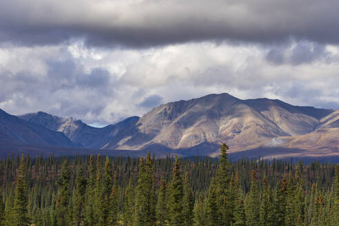 Scenic view of forest and mountains, Denali National Park and Preserve, Alaska, United States of America, North America - RHPLF24978