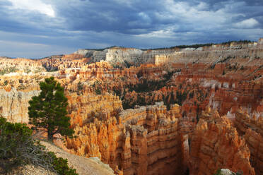 Looking towards Inspiration Point from near Sunrise Point, Bryce Canyon, Utah, United States of America, North America - RHPLF25001
