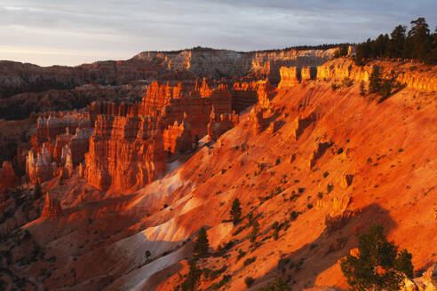 Bryce Canyon from Sunrise Point, early summer morning light, Bryce Canyon, Utah, United States of America, North America - RHPLF25002