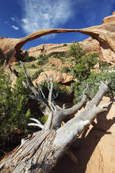 Landscape Arch, Arches National Park, Utah, United States of America, North America - RHPLF25018