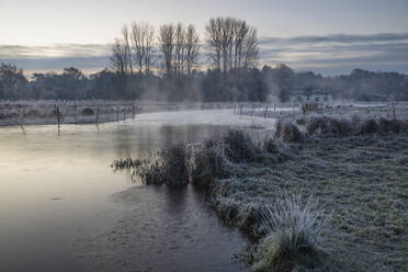 Frosty winter sunrise with mist on the River Test on Chilbolton Cow Common SSSI (Site of Special Scientific Interest), Wherwell, Hampshire, England, United Kingdom, Europe - RHPLF25075