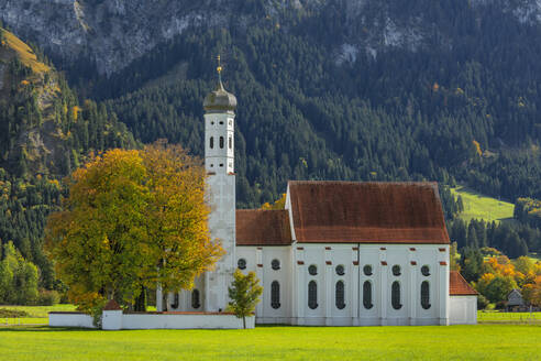 Pilgrim's Church of St. Coloman, Schwangau, Allgau, Swabia, Bavaria, Germany, Europe - RHPLF25109