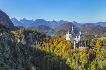 Neuschwanstein Castle, Schwangau, Allgau, Swabia, Bavaria, Germany, Europe - RHPLF25110