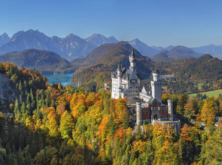 Neuschwanstein Castle, Schwangau, Allgau, Swabia, Bavaria, Germany, Europe - RHPLF25111