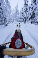 Eine Frau hält einen einzigartigen Moment mit ihrem Schlittenhund fest und macht ein Selfie in der atemberaubenden Region Lappland in Finnland - RHPLF25112
