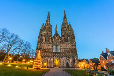 Lichfield Cathedral, Christmas tree, Lichfield, Staffordshire, England, United Kingdom, Europe - RHPLF25231