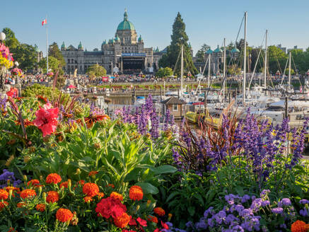 Inner Harbor, Victoria, Vancouver Island, British Columbia, Canada, North America - RHPLF25239