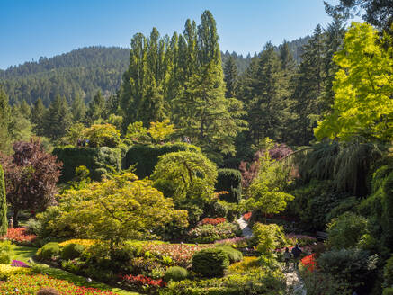 Butchart Gardens, Victoria, Vancouver Island, British Columbia, Canada, North America - RHPLF25243