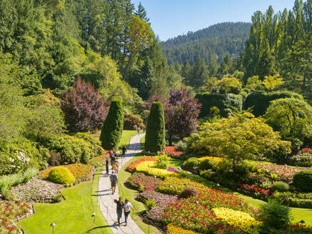 The Sunken Garden at Victoria's Butchart Gardens, planted in a former limestone quarry, starting in 1904, Victoria, Vancouver Island, British Columbia, Canada, North America - RHPLF25244