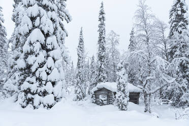Frozen hut in the Arctic forest covered with snow, Akaslompolo, Kolari, Pallas-Yllastunturi National Park, Lapland, Finland, Europe - RHPLF25319