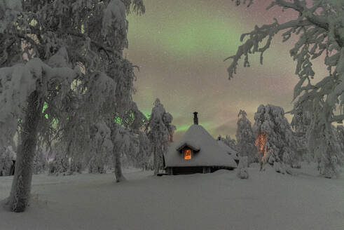 Typical wooden illuminated hut under the Northern Lights (Aurora Borealis) in the frosty forest with trees covered with snow, Pallas-Yllastunturi National Park, Muonio, Lapland, Finland, Europe - RHPLF25321