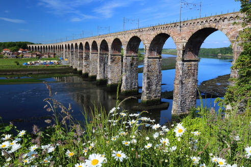 Royal Border Bridge, Berwick-upon-Tweed, Northumberland, England, United Kingdom, Europe - RHPLF25355