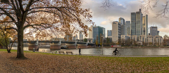 View of city skyline and River Main at sunset, Frankfurt am Main, Hesse, Germany, Europe - RHPLF25390