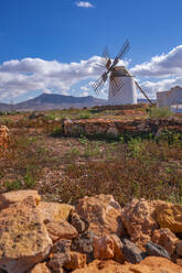 View of windmill in dramatic landscape near La Matilla, Fuerteventura, Canary Islands, Spain, Atlantic, Europe - RHPLF25400