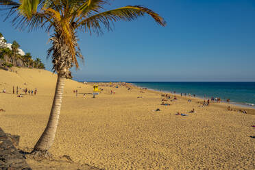 View of Playa del Matorral beach, Morro Jable, Fuerteventura, Canary Islands, Spain, Atlantic, Europe - RHPLF25408