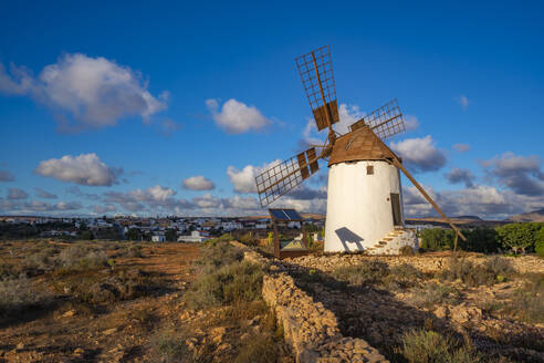 View of traditional windmill in Antigua, Antigua, Fuerteventura, Canary Islands, Spain, Atlantic, Europe - RHPLF25410