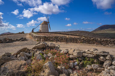 View of typical windmill and landscape on a sunny day, La Oliva, Fuerteventura, Canary Islands, Spain, Atlantic, Europe - RHPLF25412