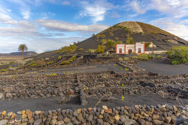 View of volcanic landscape and vineyards near La Geria, La Geria, Lanzarote, Las Palmas, Canary Islands, Spain, Atlantic, Europe - RHPLF25504