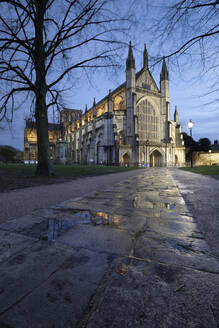 Winchester Cathedral floodlit at night in winter with reflections on wet pavement in foreground, Winchester, Hampshire, England, United Kingdom, Europe - RHPLF25521