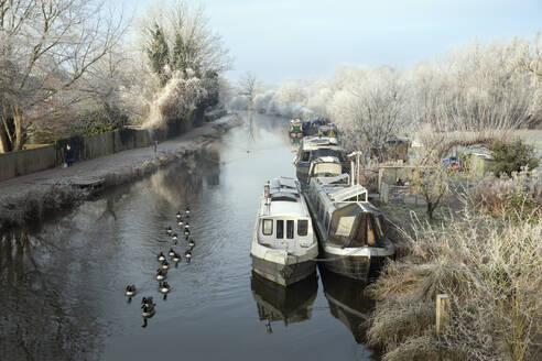 Narrowboats on the Kennet and Avon Canal by Northcroft Park on a frosty winter morning, Newbury, Berkshire, England, United Kingdom, Europe - RHPLF25523