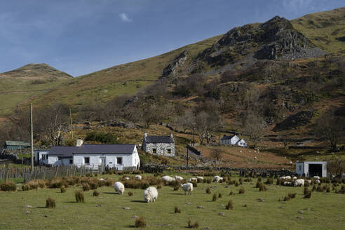 The Community and hamlet of Nant Peris, Llanberis Pass, Snowdonia National Park, Eryri, North Wales, United Kingdom, Europe - RHPLF25530