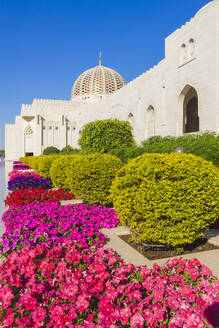 Flowers and dome of Sultan Gaboos Grand Mosque, Muscat, Oman, Middle East - RHPLF25544