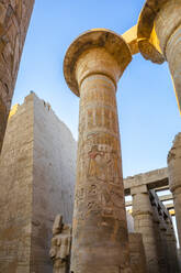 Pillars of the Great Hypostyle Hall at Karnak Temple, Luxor, Thebes, UNESCO World Heritage Site, Egypt, North Africa, Africa - RHPLF25580