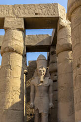 Statue of Ramesses ll, Luxor Temple, Luxor, Thebes, UNESCO World Heritage Site, Egypt, North Africa, Africa - RHPLF25581