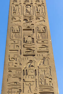 The Obelisk at Luxor Temple, Luxor, Thebes, UNESCO World Heritage Site, Egypt, North Africa, Africa - RHPLF25582