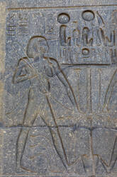 Stone Carvings at Luxor Temple, Luxor, Thebes, UNESCO World Heritage Site, Egypt, North Africa, Africa - RHPLF25587