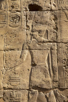 Stone Carvings at Luxor Temple, Luxor, Thebes, UNESCO World Heritage Site, Egypt, North Africa, Africa - RHPLF25588