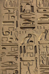 Detail of the Obelisk at Luxor Temple, Luxor, Thebes, UNESCO World Heritage Site, Egypt, North Africa, Africa - RHPLF25589