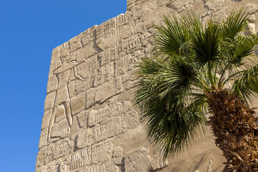 Stone Carvings and Hieroglyphs at Karnak Temple, Luxor, Thebes, UNESCO World Heritage Site, Egypt, North Africa, Africa - RHPLF25600