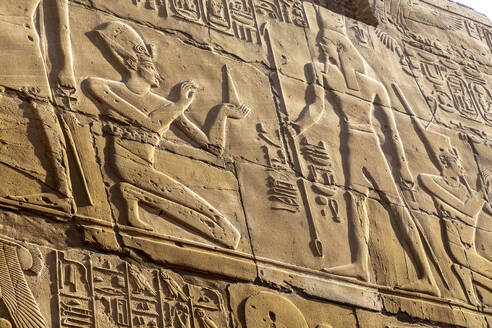 Stone Carvings and Hieroglyphs at Karnak Temple, Luxor, Thebes, UNESCO World Heritage Site, Egypt, North Africa, Africa - RHPLF25603