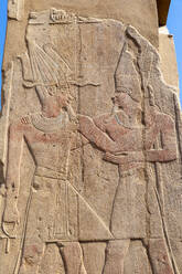 Stone Carvings at Karnak Temple, Luxor, Thebes, UNESCO World Heritage Site, Egypt, North Africa, Africa - RHPLF25604