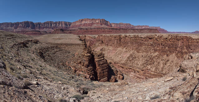 The North Fork Abyss of the Lower Soap Creek Canyon joining the confluence of the South Fork in Marble Canyon, Arizona, United States of America, North America - RHPLF25652